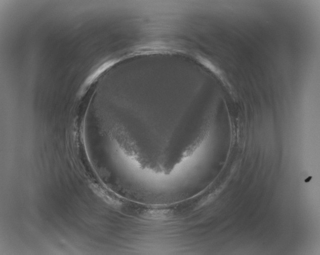 X0000081601453200701151326
