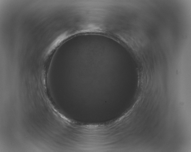 X0000081601455200701151326