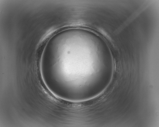 X0000081601456200701151326