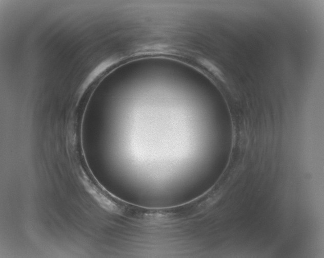 X0000081601458200701151326
