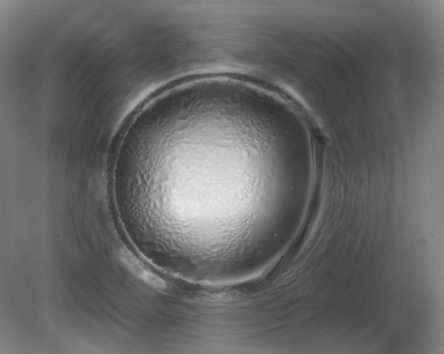 X0000081601460200701151326