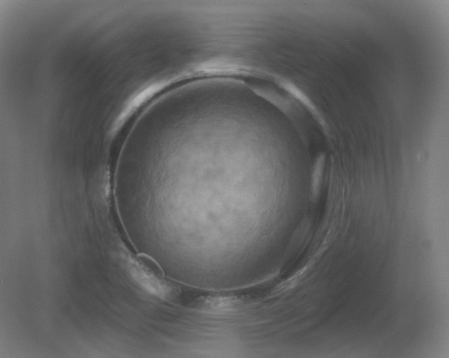 X0000081601461200701151326