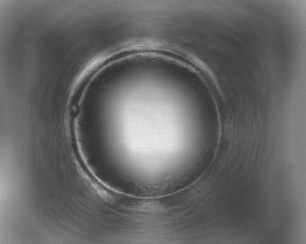 X0000081601464200701151326