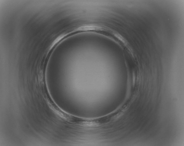 X0000081601465200701151326