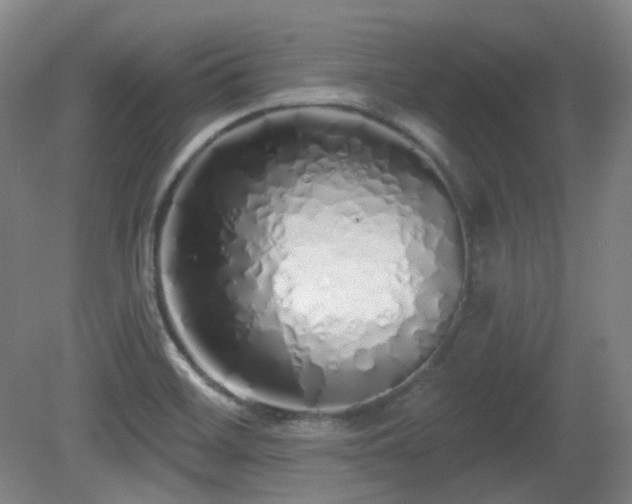 X0000081601468200701151326