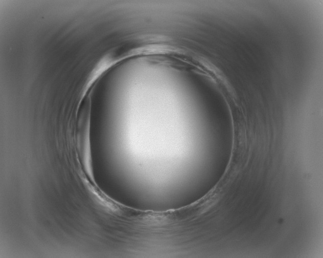 X0000081601473200701151326