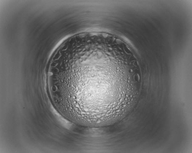 X0000081601476200701151326