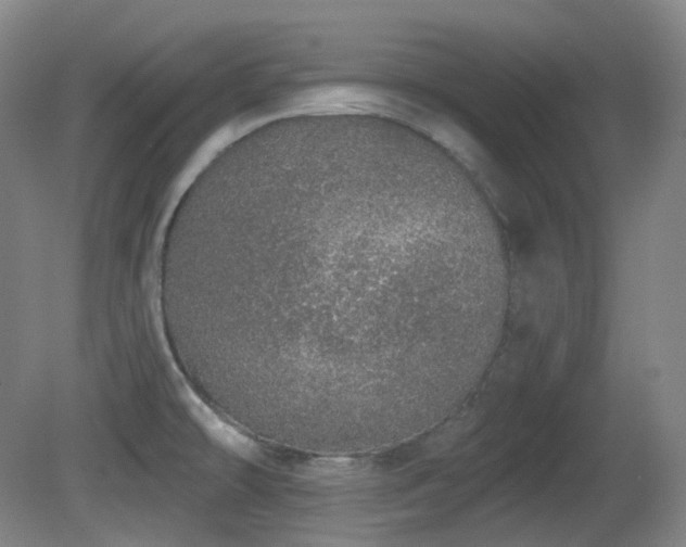 X0000081601478200701151326