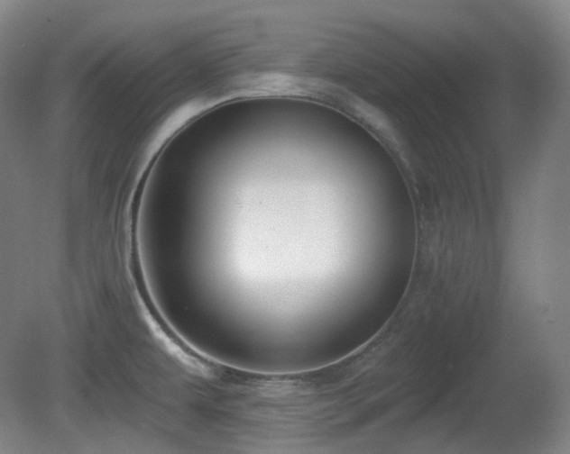 X0000081601479200701151326