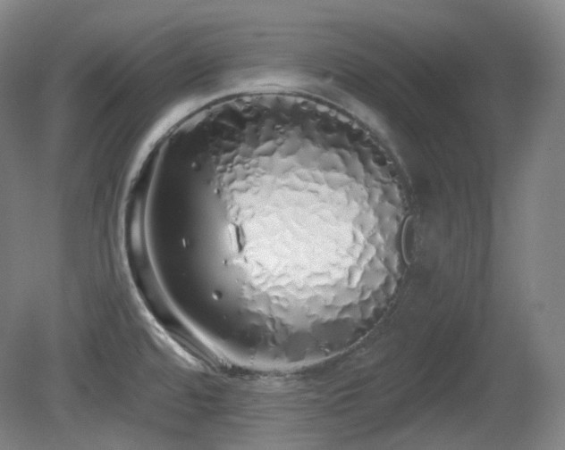 X0000081601480200701151326