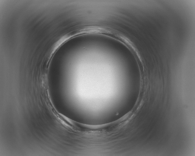 X0000081601481200701151326