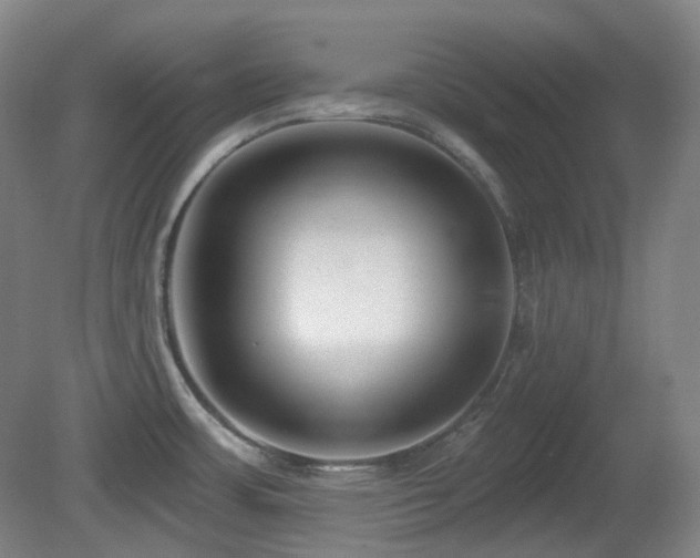 X0000081601483200701151326