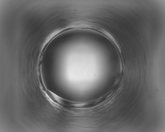 X0000081601485200701151326