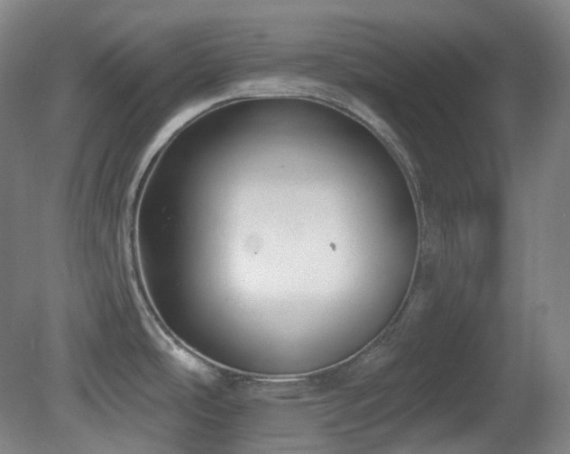 X0000081601486200701151326