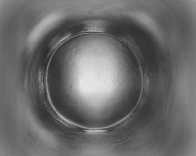 X0000081601487200701151326