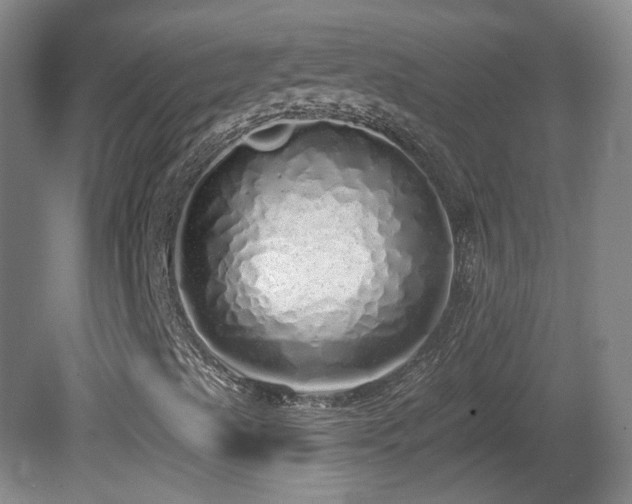 X0000081601489200701151325