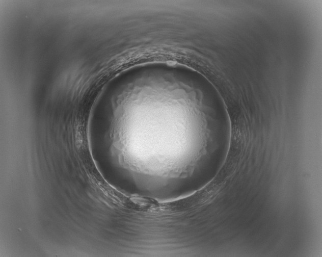 X0000081601490200701151325