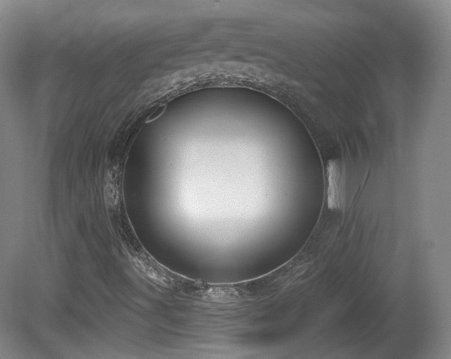 X0000081601491200701151325