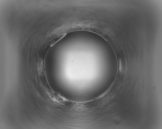 X0000081601492200701151325