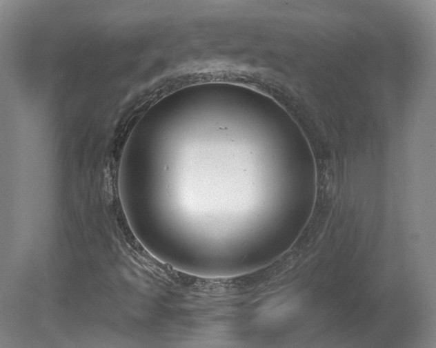 X0000081601493200701151325