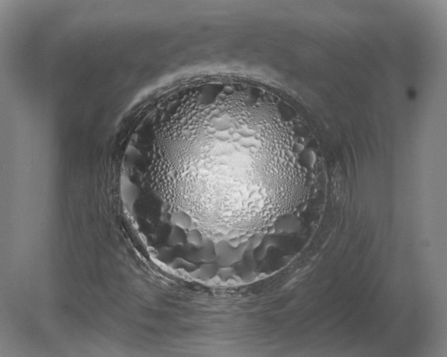 X0000081601494200701151325