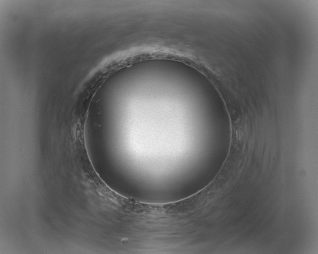 X0000081601495200701151325