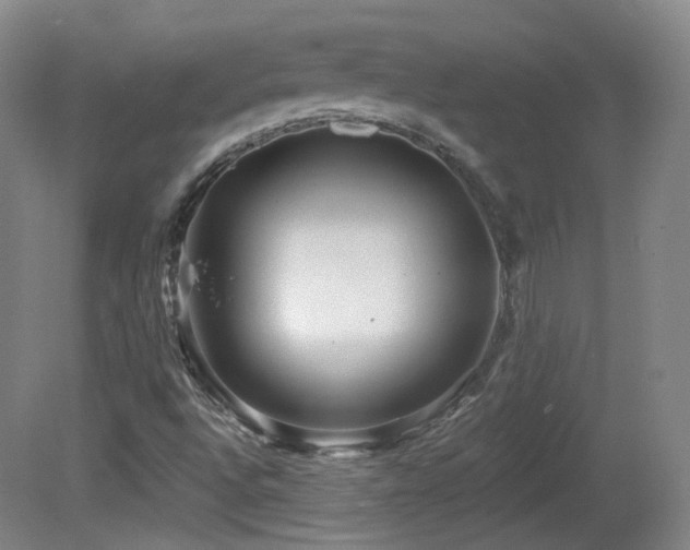X0000081601496200701151325