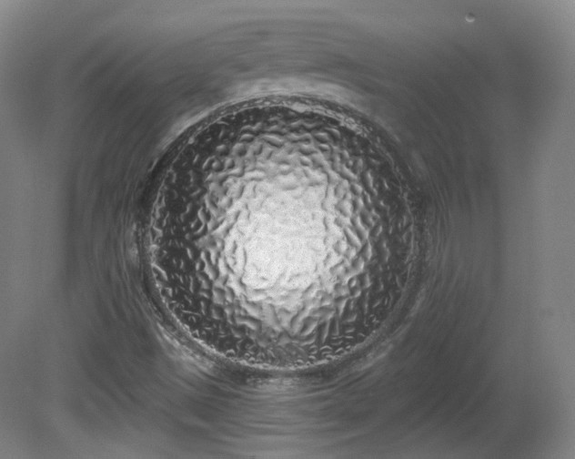X0000081601497200701151325