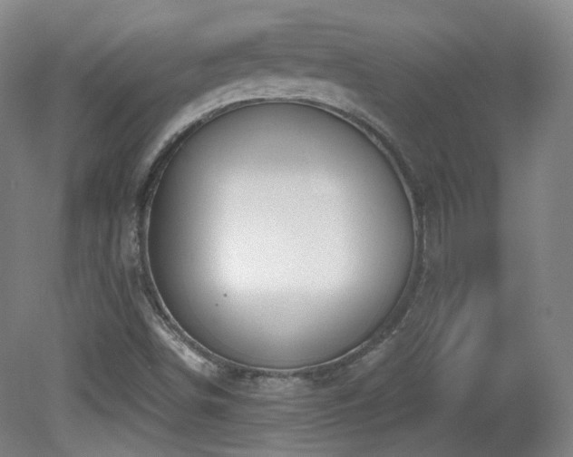 X0000081601498200701151325
