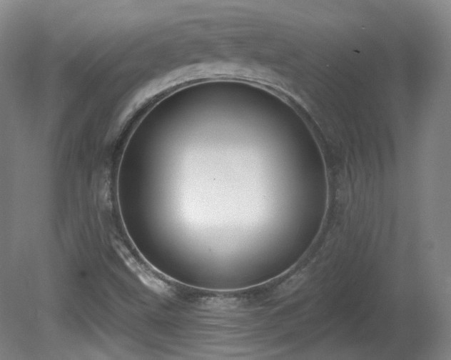 X0000081601499200701151325