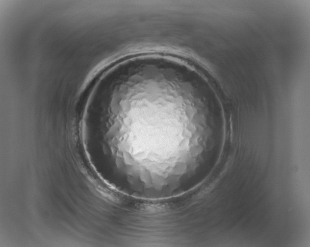 X0000081601501200701151325