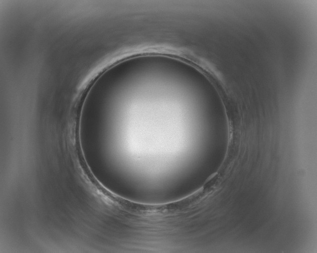 X0000081601504200701151325