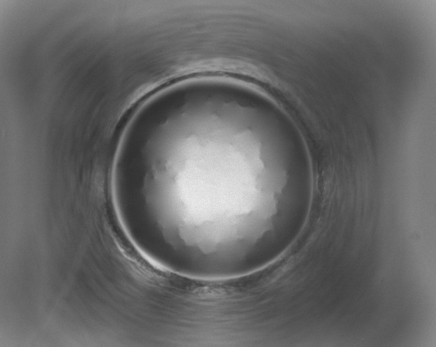 X0000081601505200701151325
