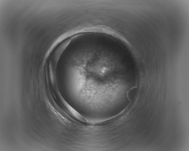 X0000081601506200701151325