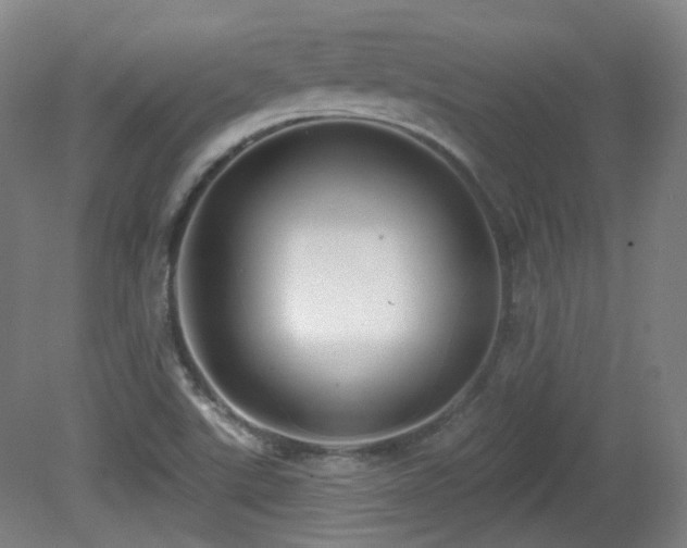 X0000081601507200701151325