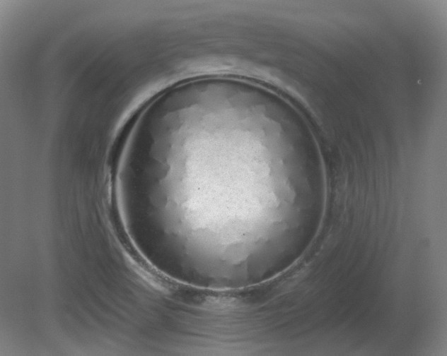 X0000081601509200701151325