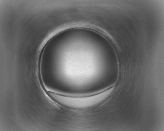 X0000081601512200701151325