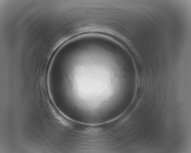 X0000081601513200701151325