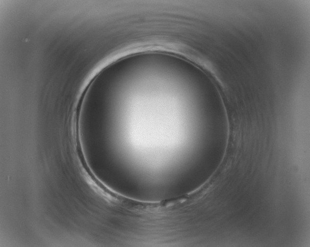 X0000081601516200701151325