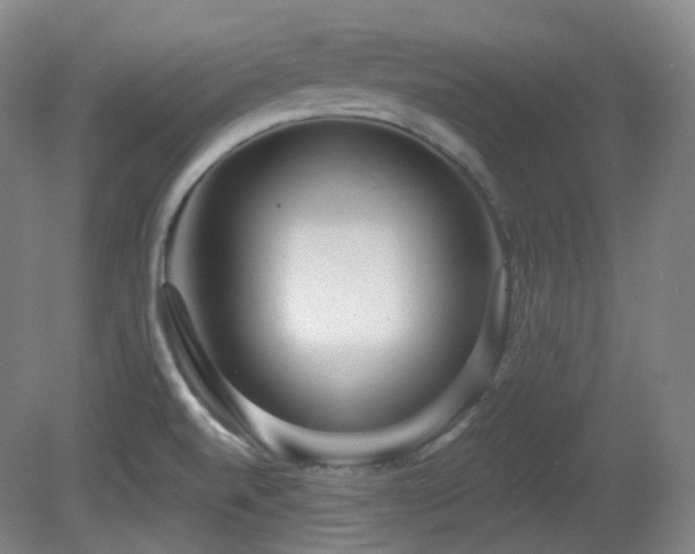X0000081601520200701151326