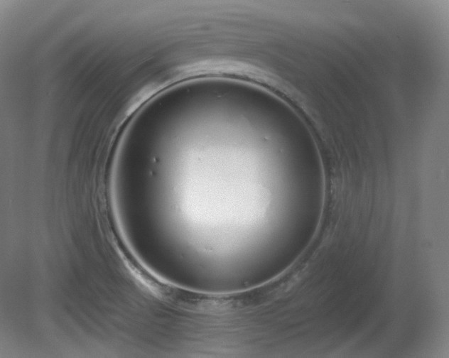 X0000081601521200701151326