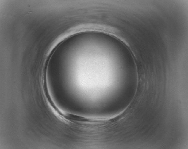 X0000081601523200701151326