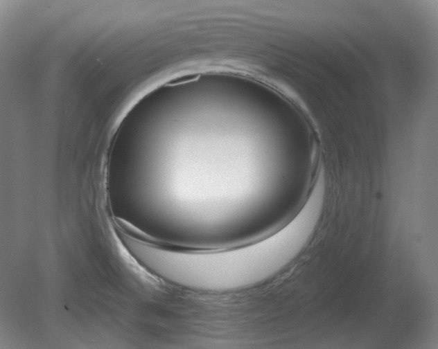 X0000081601524200701151326