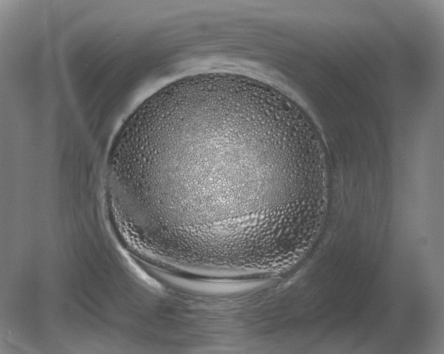 X0000081601525200701151326