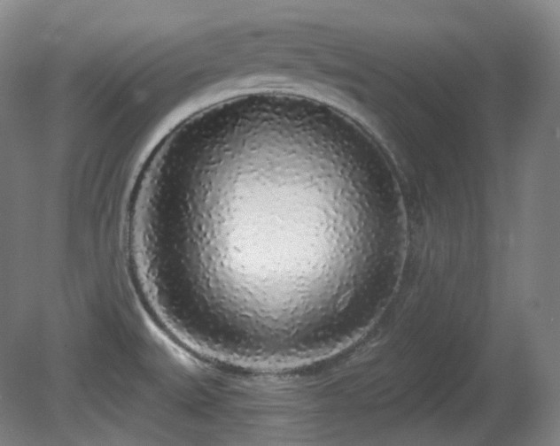 X0000081601527200701151326