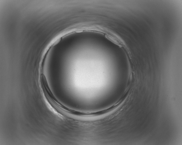 X0000081601528200701151326