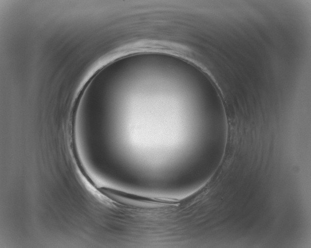 X0000081601531200701151326