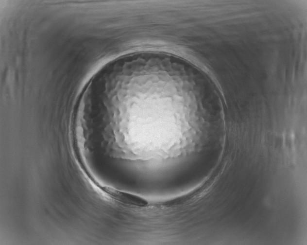 X0000081601533200701151326