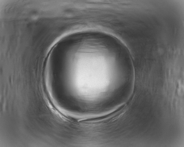 X0000081601534200701151326