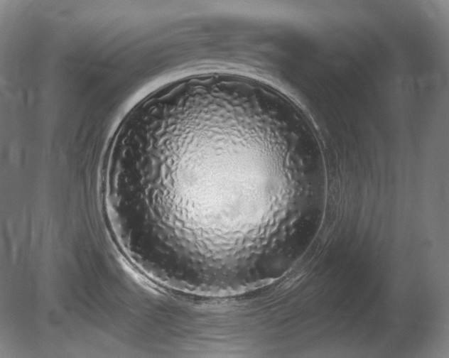 X0000081601535200701151326